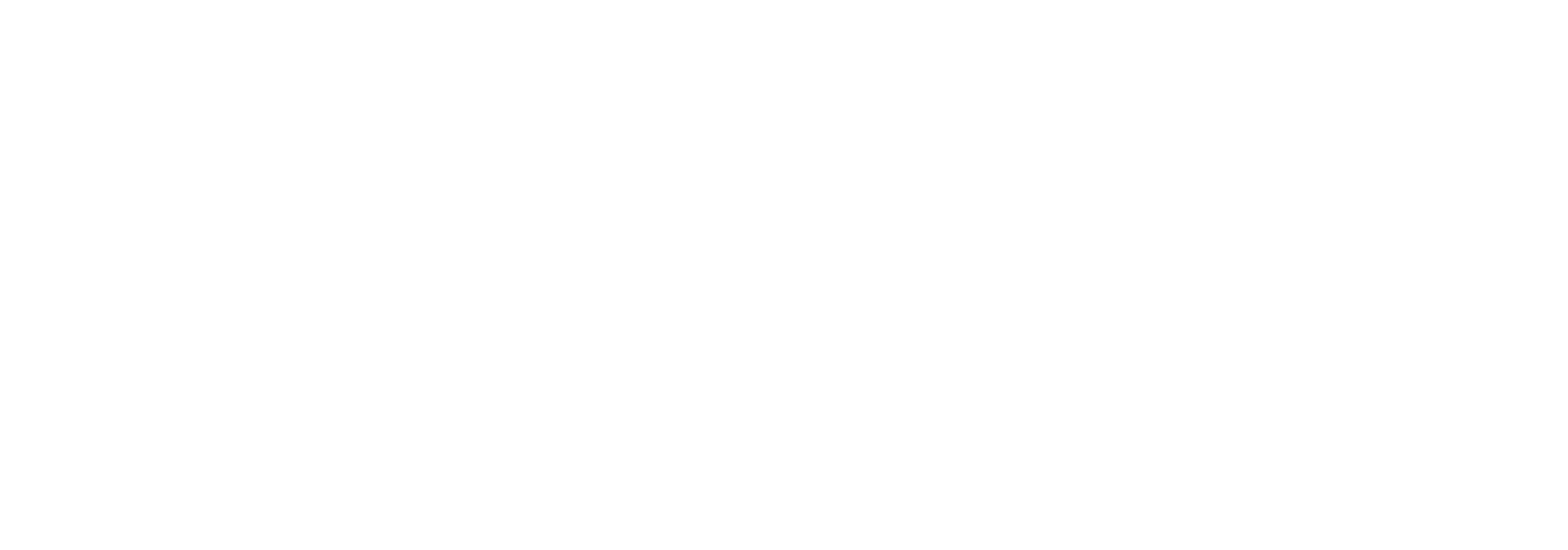 BRAPA logo